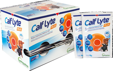 CALF LYTE PLUS POLVERE SCATOLA DA 24 BUSTE DA 90 G