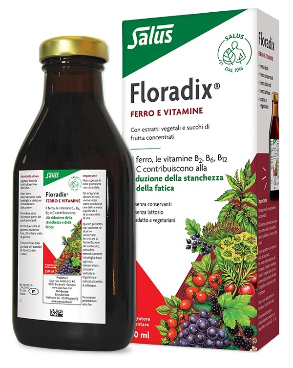 FLORADIX FERRO E VITAMINE 250 ML