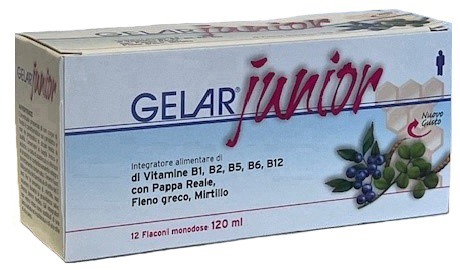 [902173867] GELARJUNIOR 12 FIALE 10 ML
