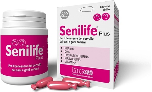 [981076728] SENILIFE PLUS 60 CAPSULE