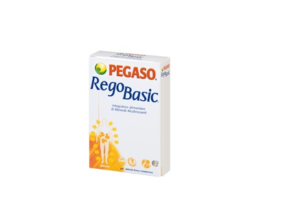 [924739194] REGOBASIC 12 BUSTINE POLVERE